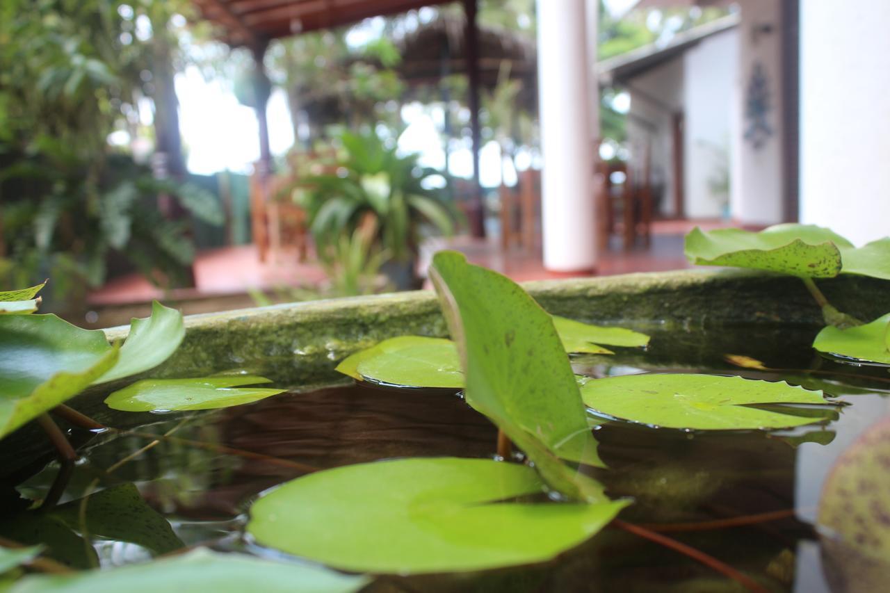 Julie Guest House Тангалла Экстерьер фото