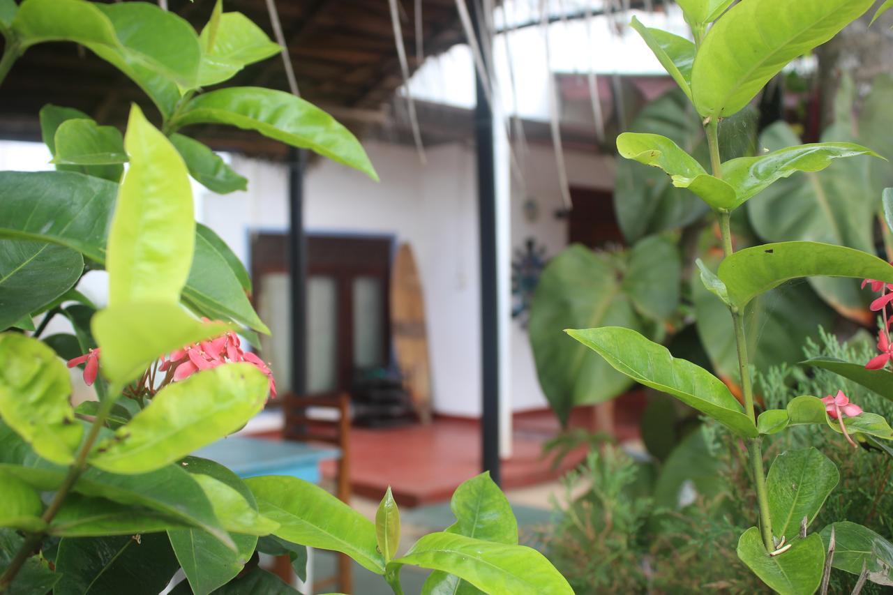 Julie Guest House Тангалла Экстерьер фото