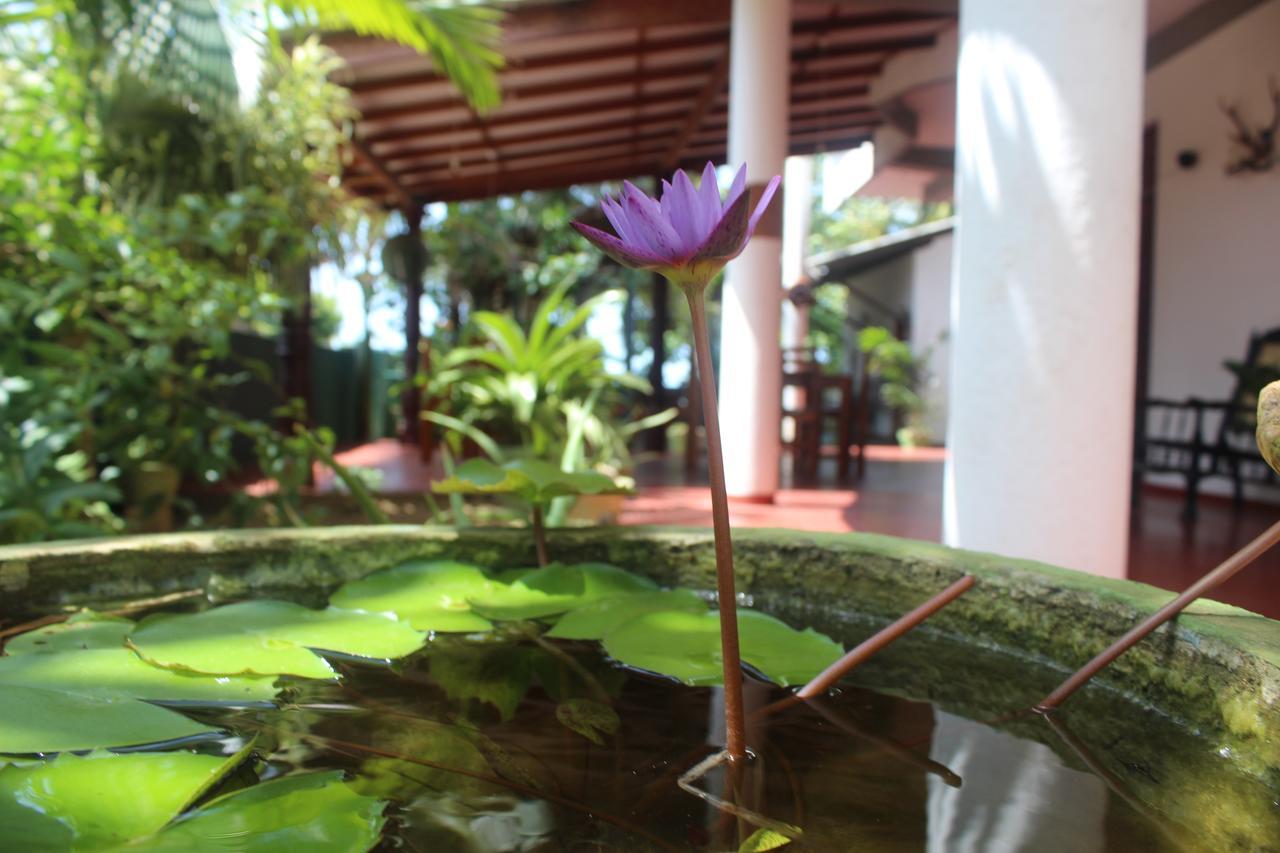 Julie Guest House Тангалла Экстерьер фото